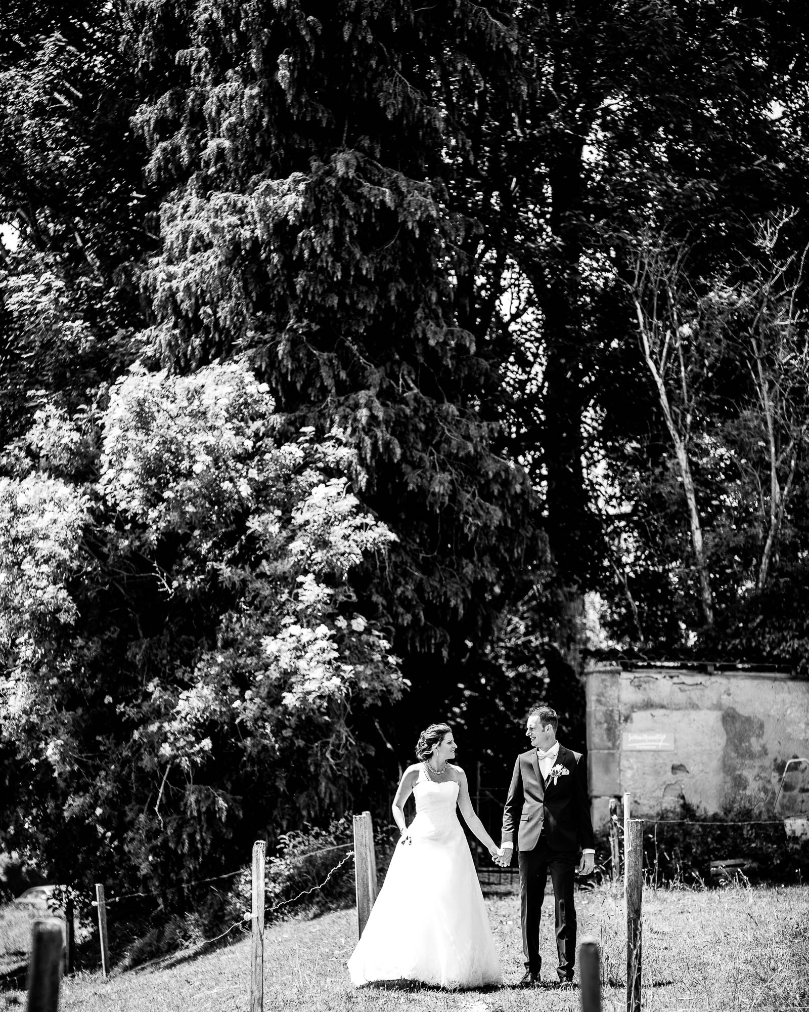 Export x3 1DX27540 Hochzeit 2020 Claudia & Marco 3